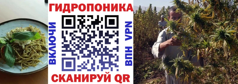 Печенье с ТГК конопля  дарнет шоп  Шацк 