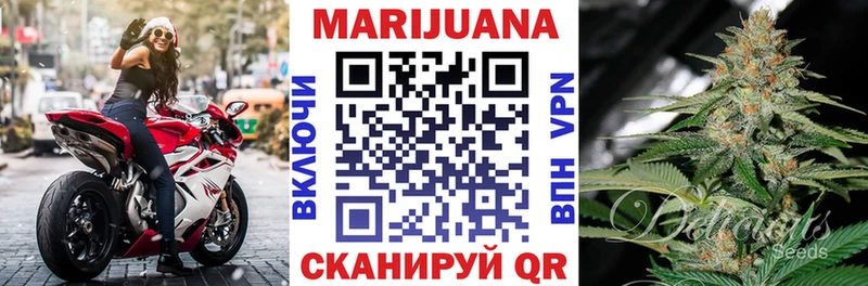 дарнет шоп  Шацк  Бошки Шишки White Widow 